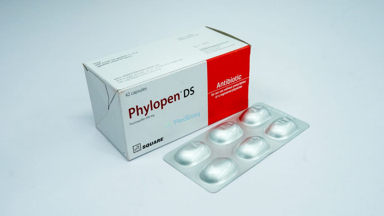 Phylopen DS 500 mg
