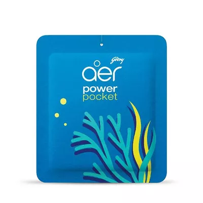 Godrej AER Power Pocket Sea Breeze Delight 10gm