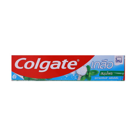 Colgate Salt Herbal Toothpaste 100g 100g