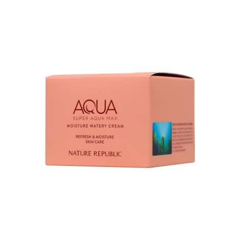 Nature Republic Super Aqua Max Refresh & Moisture Watery Cream 80ml 80ml